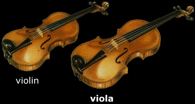 bild:viola.violine.jpg